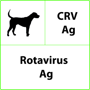Test Rotavirus Ag
