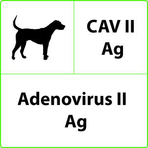 Adenovirus Ag Test Adenovirus Ag