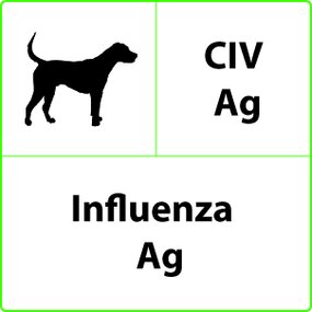 Influenza Test Influenza