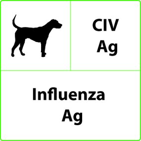 Test Influenza