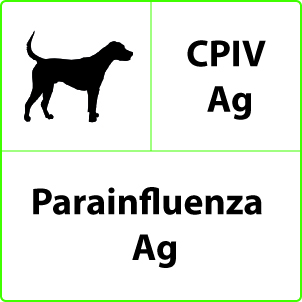 Test Parainfluenza