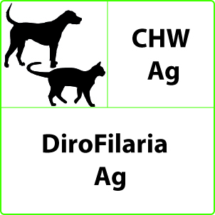 Dirofilaria Test Dirofilaria