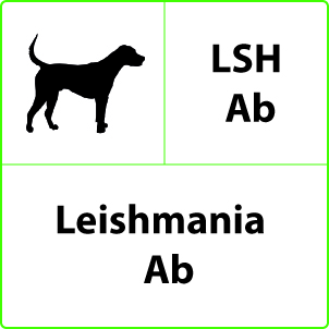 Test Leishmania