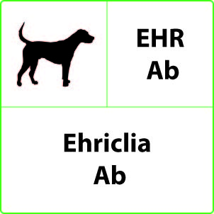 Test Ehrlichia