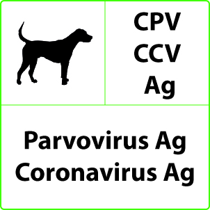 Test Parvovirus, Coronavirus e Giardia