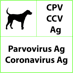 Parvovirus, Coronavirus e Giardia Test Parvovirus, Coronavirus e Giardia