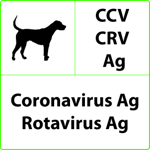 Test Coronavirus e Rotavirus