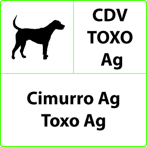 Cimurro e Toxoplasmosi Test Cimurro e Toxoplasmosi