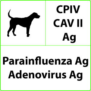Test Parainfluenza e Adenovirus Tipo II