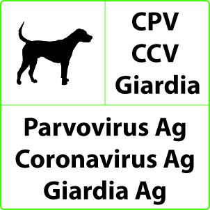 Test Parvovirus, Coronavirus e Giardia