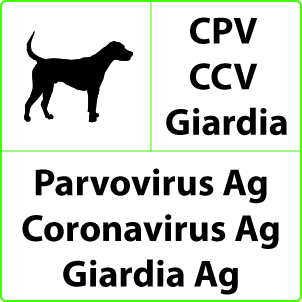 Parvovirus, Coronavirus e Giardia Test Parvovirus, Coronavirus e Giardia