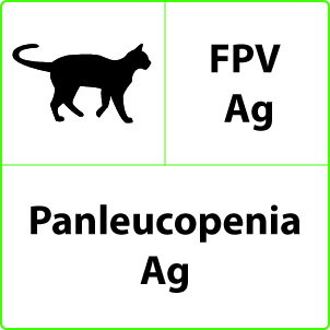 Panleucopenia Test Panleucopenia