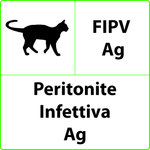 Peritonite infettiva Test Peritonite infettiva
