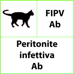 Test Peritonite infettiva