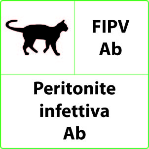 Peritonite infettiva Test Peritonite infettiva