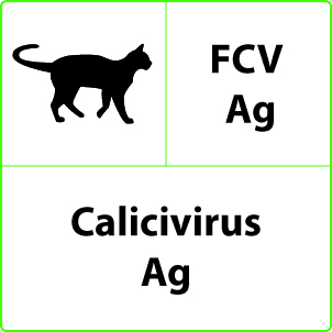 Test Calicivirus felino