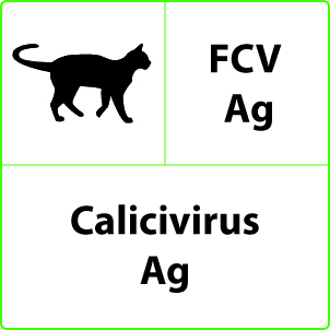 Calicivirus felino Test Calicivirus felino