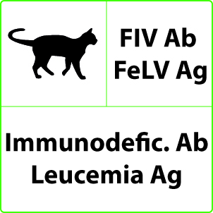FIV FELV Test FIV FELV