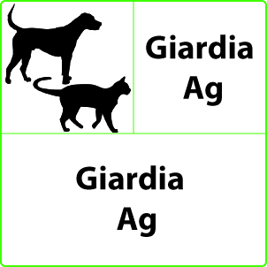 Test Giardia