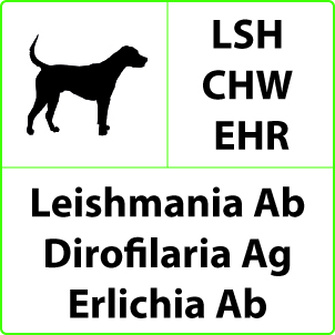 Test Leishmania_Dirofilaria_Erlichia
