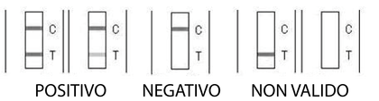 Risultato FCV calicivirus