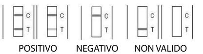 Risultato Cimurro + Parvovirus Risultato Cimurro + Parvovirus