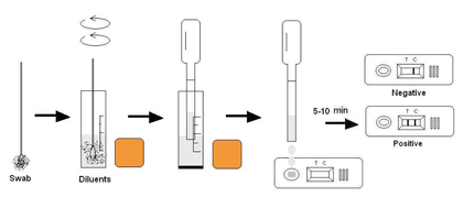 Procedura analisi 